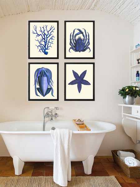 Blue Bathroom Wall Art Set of 4 Prints Beautiful Antique Vintage Sea Star Crab Coral Ocean Beach House Decoration Home Decor to Frame NODB