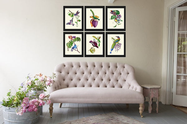 Bird Prints Wall Art Print Set 6 Beautiful Vintage Antique Purple Violet Lilac Tropical Banana Passion Fruit Flower Home Decor to Frame OBB