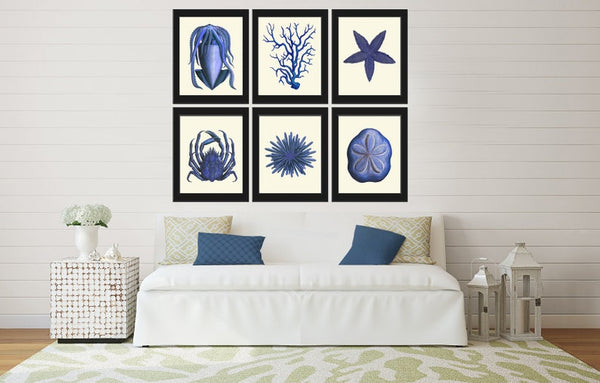 Blue Sea Ocean Nature Wall Art Set of 6 Prints Beautiful Antique Vintage Sea Star Crab Coral Beach House Decoration Home Decor to Frame NODB