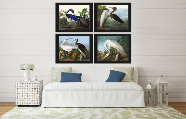 John Audubon Blue Purple White Heron Crane Wall Art Prints Set of 4 Beautiful Vintage Antique Coastal Lake Nature Home Decor to Frame JJA