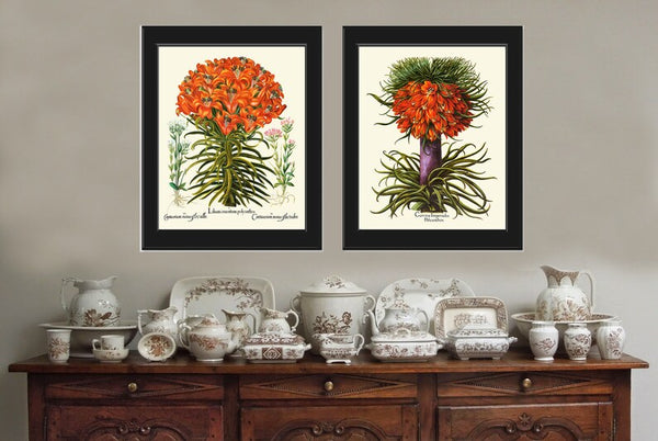 Orange Botanical Prints Wall Art Set of 2 Beautiful Antique Vintage Lily and Crown Imperial Fritillary Flowers Home Room Decor to Frame BESL