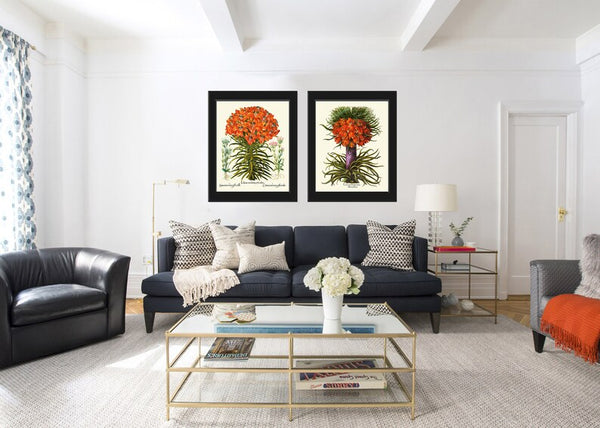 Orange Botanical Prints Wall Art Set of 2 Beautiful Antique Vintage Lily and Crown Imperial Fritillary Flowers Home Room Decor to Frame BESL