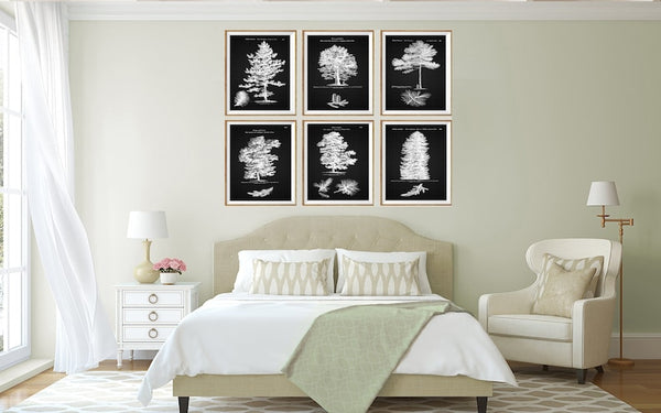 Trees Pine Tree Botanical Wall Art Set of 6 Prints Beautiful Vintage Antique Black Background White Interior Design Home Decor to Frame LODT