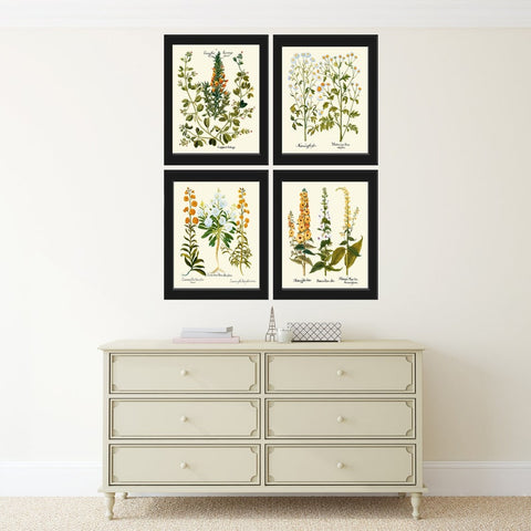 Wildflowers Botanical Wall Art Set of 4 Prints Beautiful Vintage Antique White Orange Green Farmhouse Cottage Home Room Decor to Frame BESL