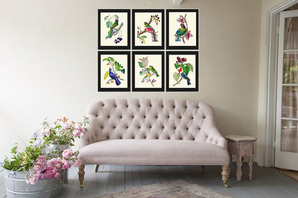 Bird Wall Art Print Set 6 Beautiful Vintage Antique Purple Violet Lilac Tree Branch Leaves Flowers Outdoor Nature Home Decor to Frame OBB