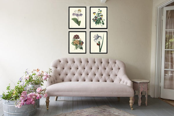 Purple Violet Lilac Flowers Botanical Wall Art Set of 4 Prints Beautiful Vintage Iris Pansy Gloxinia Illustration Home Decor to Frame REDT