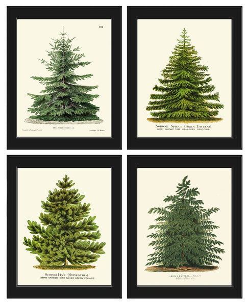 Christmas Wall Art Pine Tree Holiday Home Decor Print Set of 4 Pinetree Green Forest Country Outdoor Nature Fireplace Home Decor to Frame CM