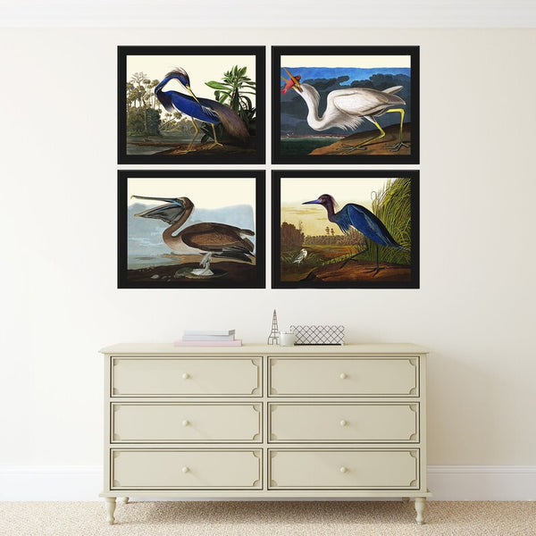 John James Audubon Birds Wall Art Prints Vintage Antique Set of 4 Crane Heron Pelican Home Decor Illustration Poster Home Decor to Frame JJA