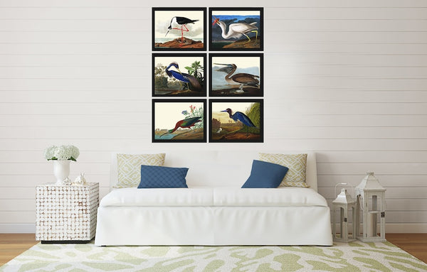 John James Audubon Birds Wall Art Prints Vintage Antique Set of 6 Ibis Crane Heron Pelican Home Room Decor Illustration Poster to Frame JJA