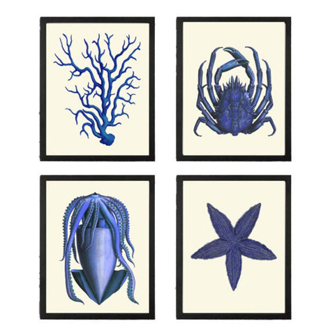 Blue Bathroom Wall Art Set of 4 Prints Beautiful Antique Vintage Sea Star Crab Coral Ocean Beach House Decoration Home Decor to Frame NODB