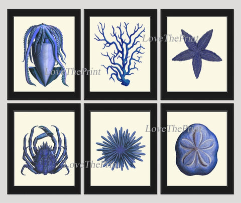 Blue Sea Ocean Nature Wall Art Set of 6 Prints Beautiful Antique Vintage Sea Star Crab Coral Beach House Decoration Home Decor to Frame NODB