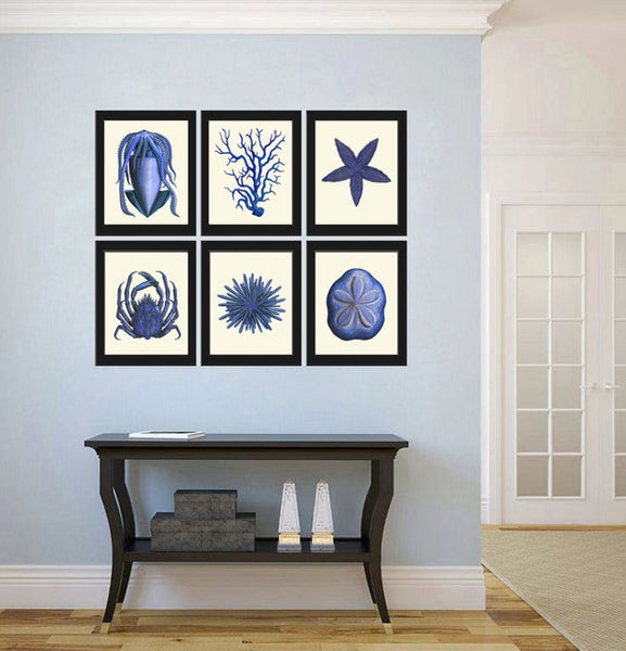 Blue Sea Ocean Nature Wall Art Set of 6 Prints Beautiful Antique Vintage Sea Star Crab Coral Beach House Decoration Home Decor to Frame NODB