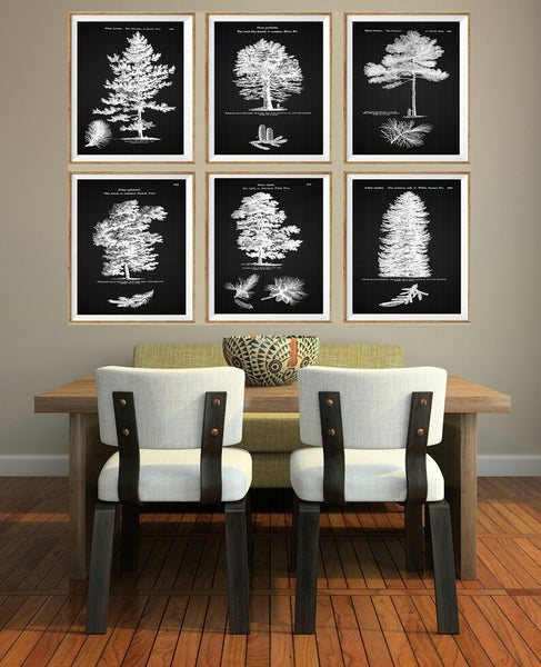 Trees Pine Tree Botanical Wall Art Set of 6 Prints Beautiful Vintage Antique Black Background White Interior Design Home Decor to Frame LODT