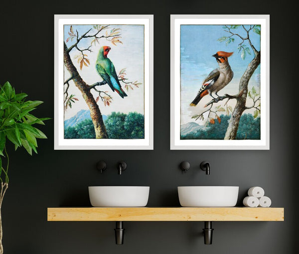 Vintage Bird Prints Wall Art Set of 2 Beautiful Antique Painting Red Robin Cardinal Dining Room Bedroom Living Home Decor to Frame BIRD1