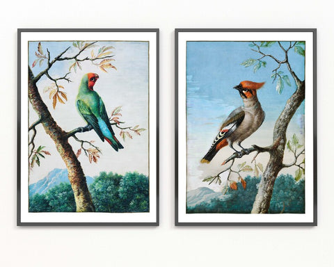 Vintage Bird Prints Wall Art Set of 2 Beautiful Antique Painting Red Robin Cardinal Dining Room Bedroom Living Home Decor to Frame BIRD1