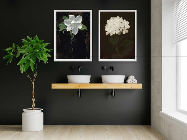Magnolia Hydrangea Prints Wall Art Set of 2 Vintage Antique Botanical Painting White Dark Background Moody Flowers Home Room Decor FLOW6