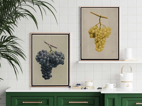Grapes Fruit Prints Wall Art Set of 2 Beautiful Antique Vintage Dining Room Kitchen Italian Italy Winery Wine Bar Home Decor to Frame FLOW1