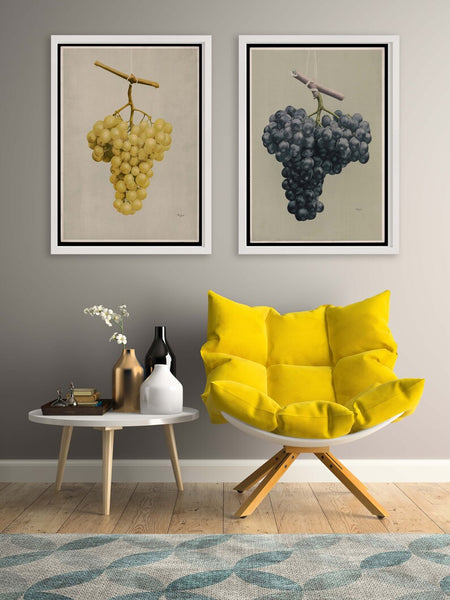 Grapes Fruit Prints Wall Art Set of 2 Beautiful Antique Vintage Dining Room Kitchen Italian Italy Winery Wine Bar Home Decor to Frame FLOW1