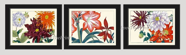 Garden Flowers Botanical Wall Art Decor Set of 3 Prints Beautiful Red Burgundy Japanese Aster Amaryllis Horizontal Orientation to Frame ZUFU