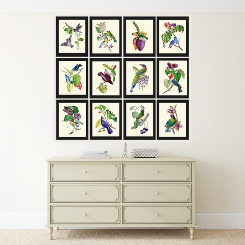 Tropical Exotic Birds Wall Art Print Set of 12 Beautiful Vintage Antique Colorful Coastal Fruit Banana Berries Leaf Home Decor to Frame OBB