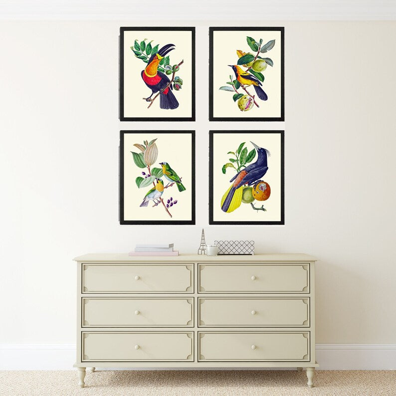 Toucan Tropical Birds Wall Art Print Set of 4 Vintage Antique Botanical Fruit Dining Room Office Kitchen Fireplace Home Decor to Frame OBB