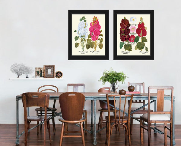 Hollyhock Flower Botanical Prints Wall Art Set of 2 Beautiful Antique Vintage White Pink Burgundy Illustration Home Room Decor to Frame BESL