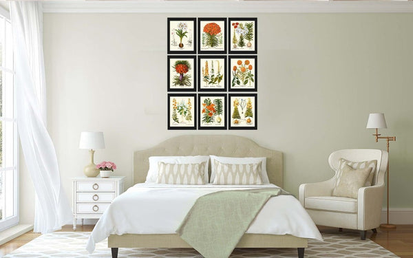 Lily Lilies Wall Art Botanical Print Set of 9 Beautiful Flowers Interior Decor Design Designer Gallery Artwork Home Room Decor to Frame BESL
