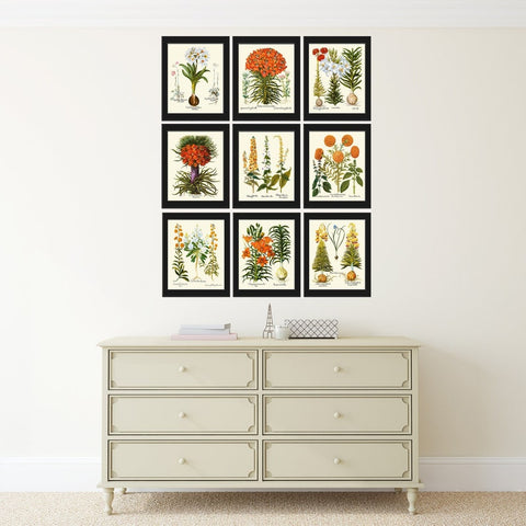 Lily Lilies Wall Art Botanical Print Set of 9 Beautiful Flowers Interior Decor Design Designer Gallery Artwork Home Room Decor to Frame BESL