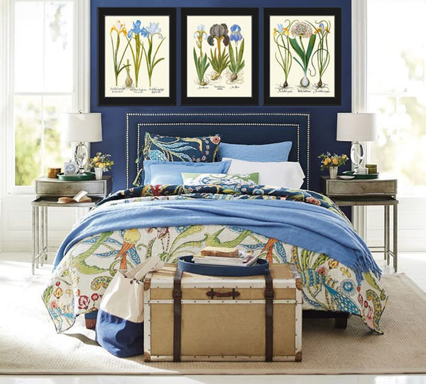 Blue Iris Botanical Prints Wall Art Set of 3 Beautiful Vintage Garden Plants Flowers Bulbs Chart Illustration Home Decor to Frame BESL