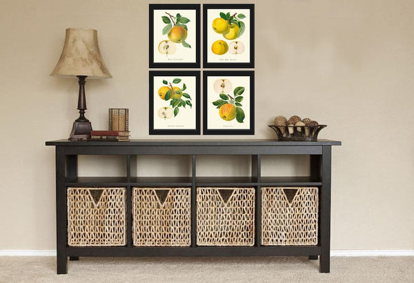 Apple Wall Decor Art Prints Set of 4 Beautiful Antique Vintage Yellow Apple Tree Chart Kitchen Dining Room Picture Home Decor to Frame GR
