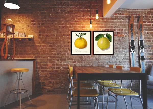 Orange Lemon Citrus Print Botanical Wall Art Set of 2 Beautiful Vintage Antique Tropical Fruit Dining Room Kitchen Home Decor to Frame POMO