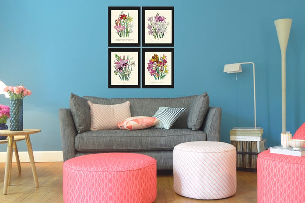 Gladiolus Flowers Botanical Wall Art Set of 4 Prints Beautiful Garden Plants Bouquet Floral White Pink Illustration Home Decor to Frame LEB