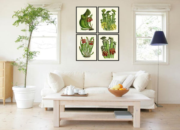 Carnivorous Insect Eating Pitcher Plant Flowers Botanical Wall Art Set of 4 Prints Vintage Tropical Rainforest Nature Decor to Frame HOU