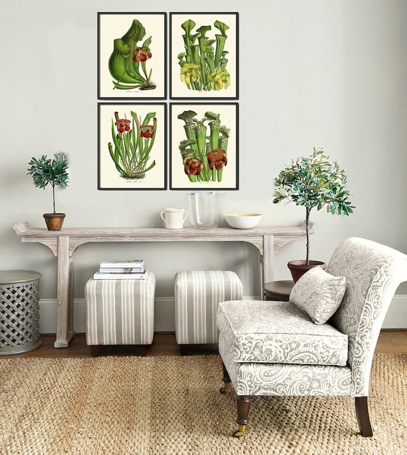 Carnivorous Insect Eating Pitcher Plant Flowers Botanical Wall Art Set of 4 Prints Vintage Tropical Rainforest Nature Decor to Frame HOU