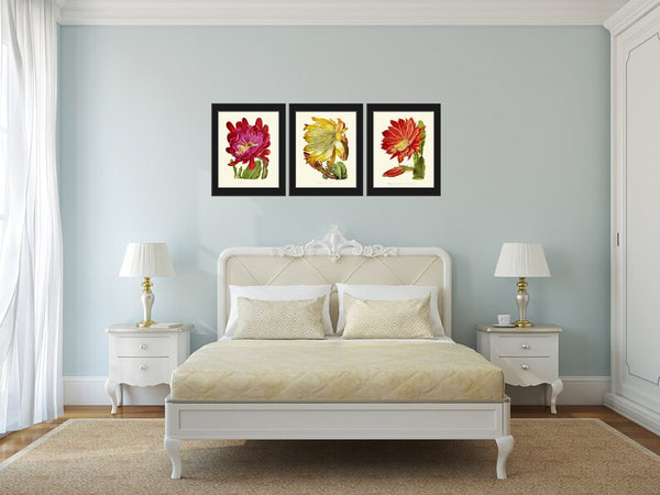 Blooming Cactus Flower Botanical Prints Wall Art Set of 3 Beautiful Vintage Tropical Exotic Rare Decoration Home Room Decor to Frame IH