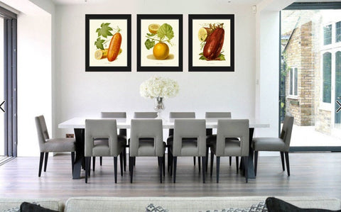 Kitchen Wall Art Vegetable Print Set Vintage Botanical Cucumber Melon Eggplant Dinning Room Garden Plants Picture Home Decor to Frame IH