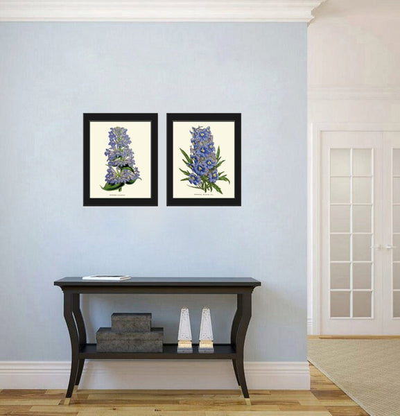 Blue Delphinium Botanical Prints Wall Art Set of 2 Flowers Vintage Antique Dining Room Garden Bedroom Fireplace Hallway Home Room Decor HOU