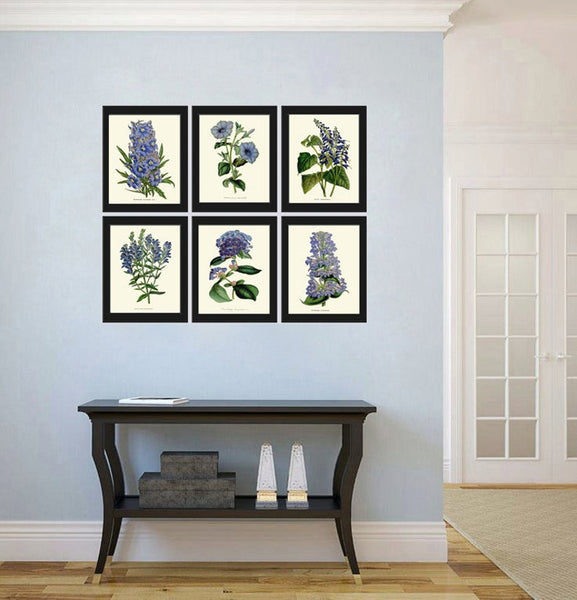Botanical Prints Blue Flowers Wall Art Set of 6 Floral Illustration Painting Decoration Dining Room Bedroom Interior Home Decor to Frame HOU