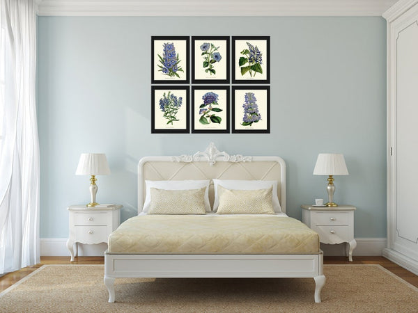 Botanical Prints Blue Flowers Wall Art Set of 6 Floral Illustration Painting Decoration Dining Room Bedroom Interior Home Decor to Frame HOU