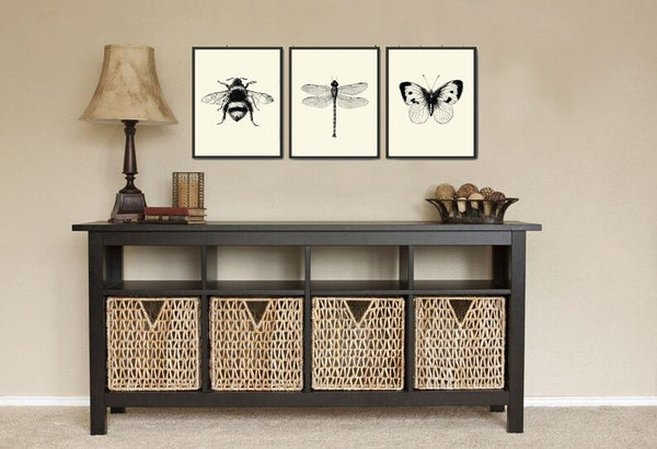 Bee Dragonfly Butterfly Prints Wall Art Set of 3 Beautiful Antique Vintage Insect Garden Illustration Minimalist Home Decor to Frame INSE
