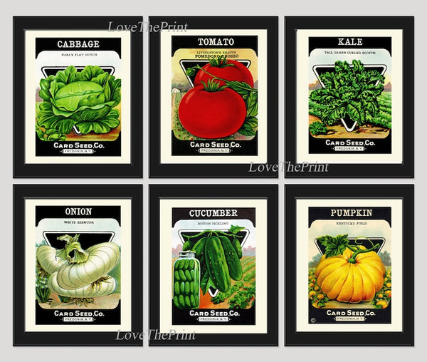 Vintage Vegetable Seeds Packet Botanical Wall Art Print Set of 6 Beautiful Heirloom Garden Kitchen Dining Room Chef Home Decor to Frame VG