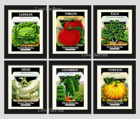 Vintage Vegetable Seeds Packet Botanical Wall Art Print Set of 6 Beautiful Heirloom Garden Kitchen Dining Room Chef Home Decor to Frame VG