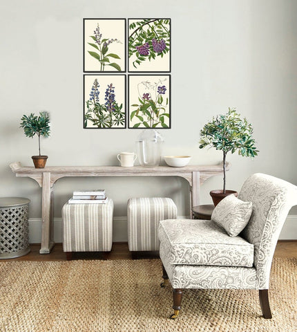 Vintage Botanical Print Set of 4 Wall Art Purple Violet Clematis Wisteria Lupine Flowers Beautiful Antique Home Room Decor to Frame NAWF