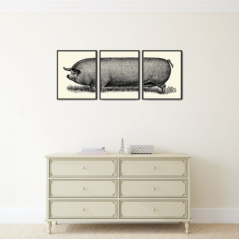 Pig Wall Art Set of 3 Prints Beautiful Antique Vintage Farm Animal Illustration Drawing Dining Room Kitchen Farmhouse Home Decor to Frame TR