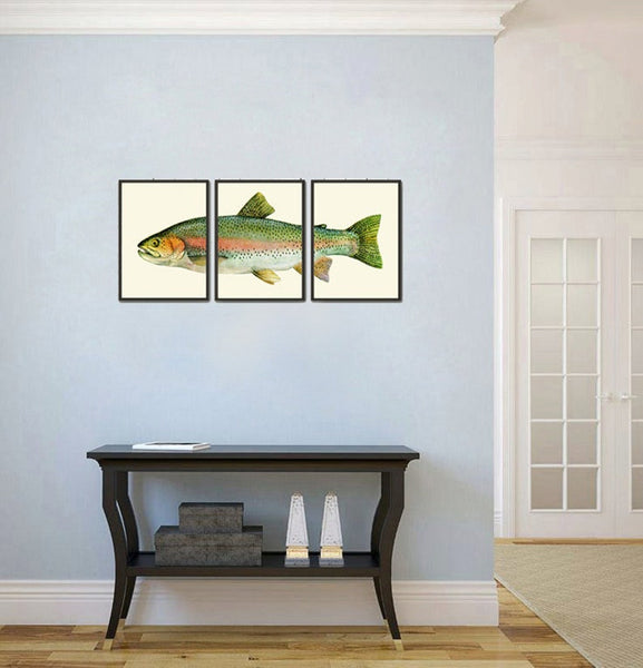Fish Wall Art Print Set of 3 Vintage Antique Watercolor Illustration Large Lake House Fishing Kitchen Farmhouse Cabin Home Decor to Frame TR