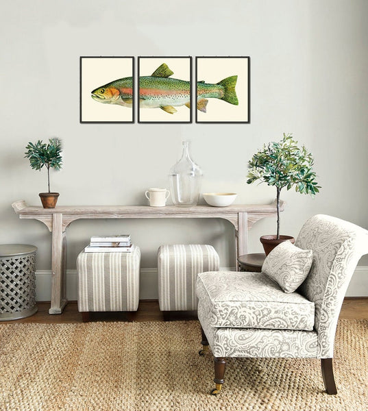 Fish Wall Art Print Set of 3 Vintage Antique Watercolor Illustration Large Lake House Fishing Kitchen Farmhouse Cabin Home Decor to Frame TR