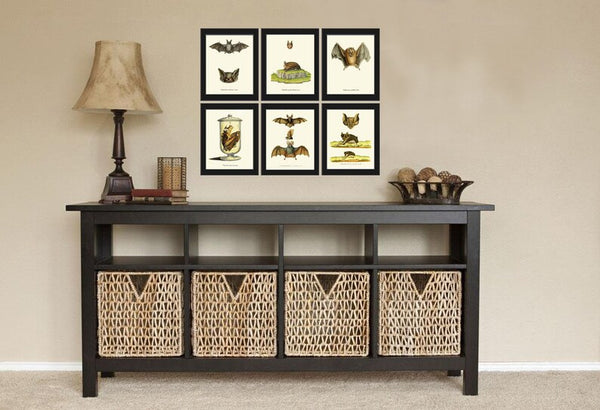 Bats Animal Wall Art Print Set of 6 Beautiful Vintage Forest Nature Illustration Farm Cabin Wildlife Science Home Room Decor to Frame BATS