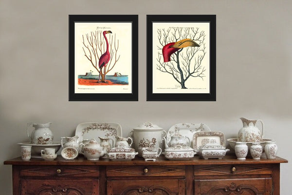 Red Pink Flamingo Bird Wall Art Print Set of 2 Prints Beautiful Coral Tropical Beach House Bedroom Bathroom Office Hallway Home Decor CM