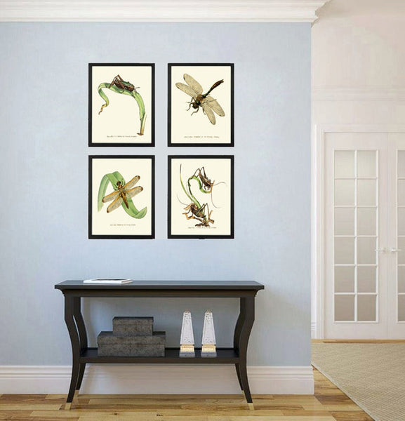Vintage Insect Dragonfly Wall Art Set of 4 Prints Beautiful Antique Lake Forest Outdoor Garden Nature Home Decor Decoration to Frame LINS