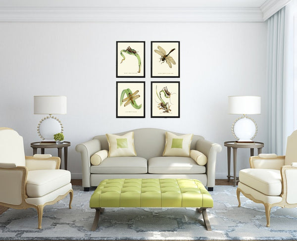 Vintage Insect Dragonfly Wall Art Set of 4 Prints Beautiful Antique Lake Forest Outdoor Garden Nature Home Decor Decoration to Frame LINS